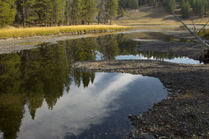 reflection